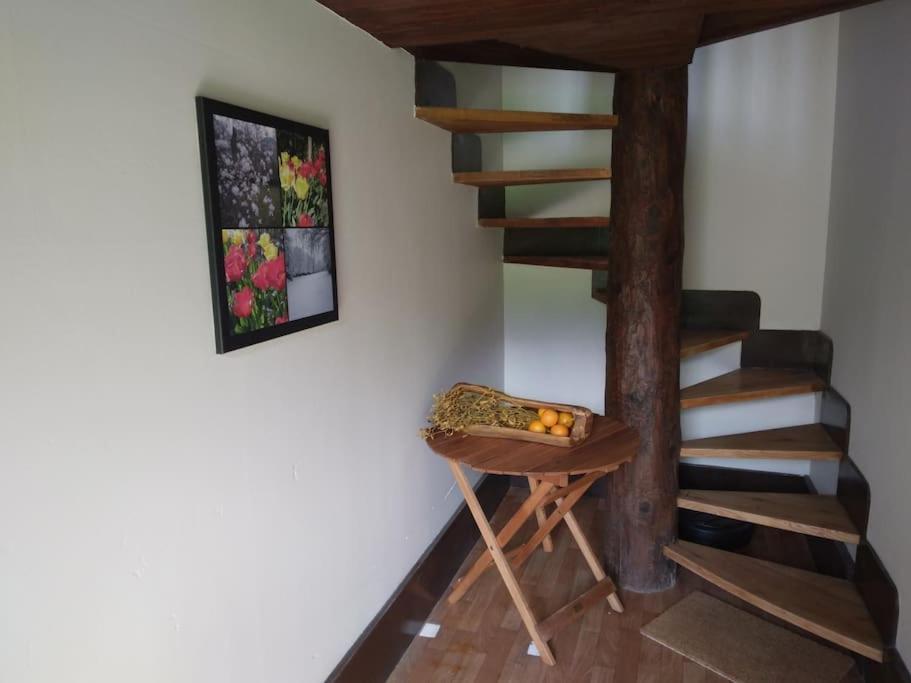 La Dependance Villa Bagneres-de-Luchon Ngoại thất bức ảnh